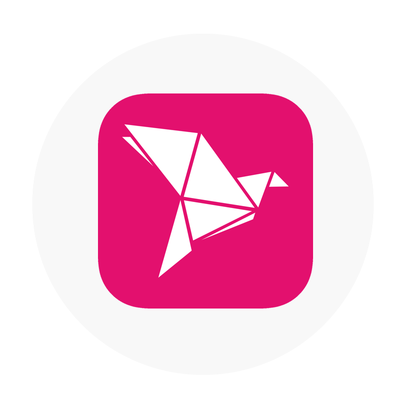 bKash Logo